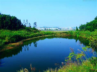 1607652020694477.jpg 生态环境1.jpg