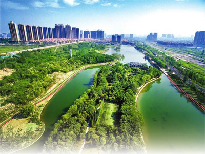 1607652031136124.jpg 生态环境2.jpg