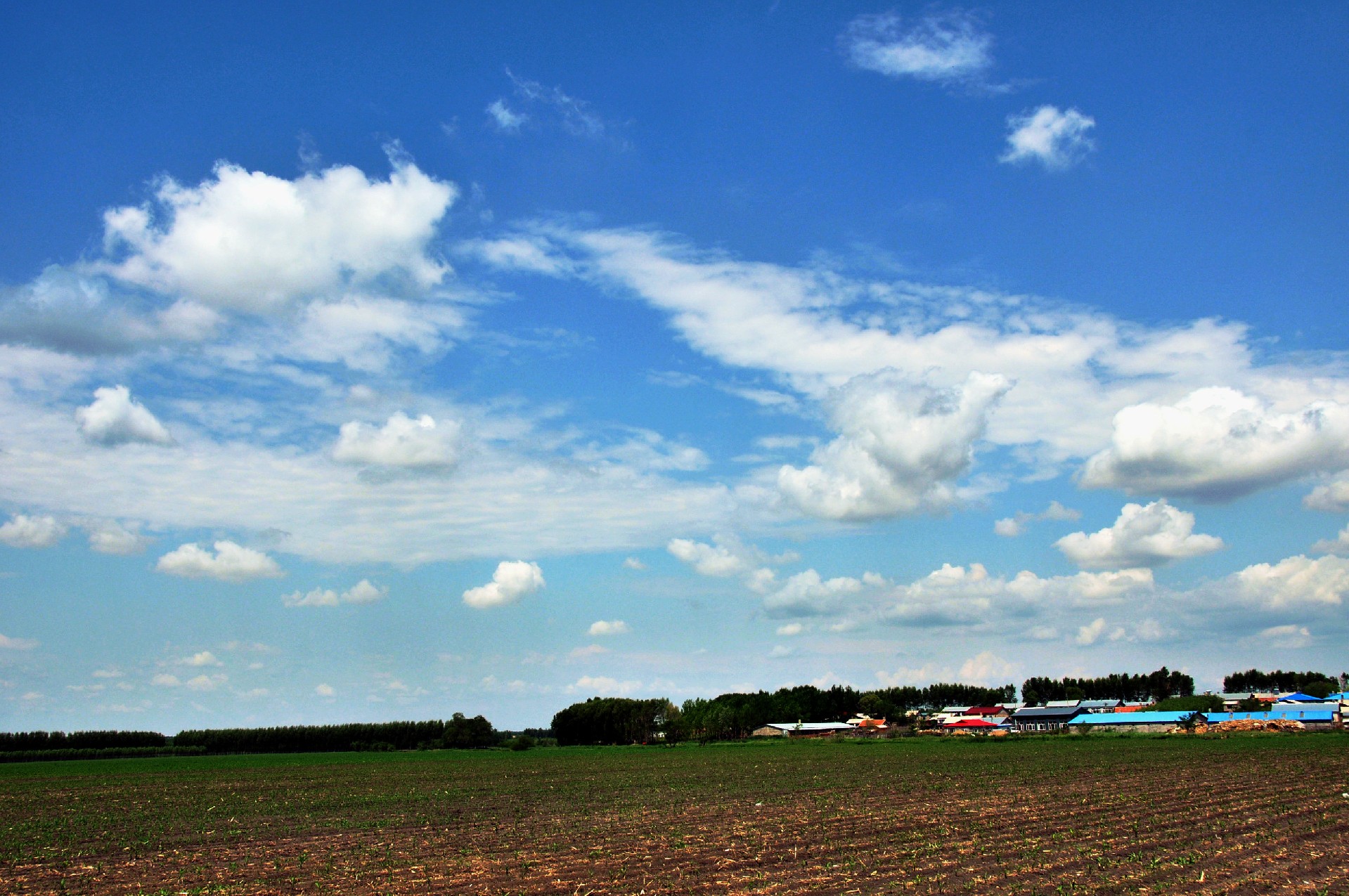 蓝天白云.jpg 33333.jpg