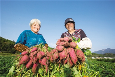 浙江缙云：好生态“卖”出好价钱